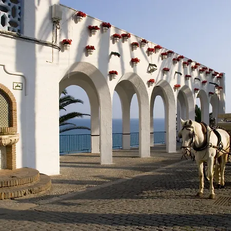 מלון Plaza Cavana 3*