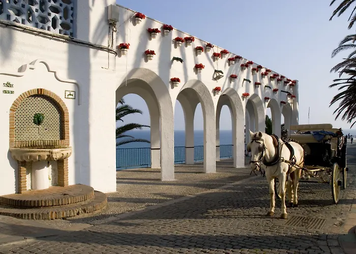 فندق Plaza Cavana 3*