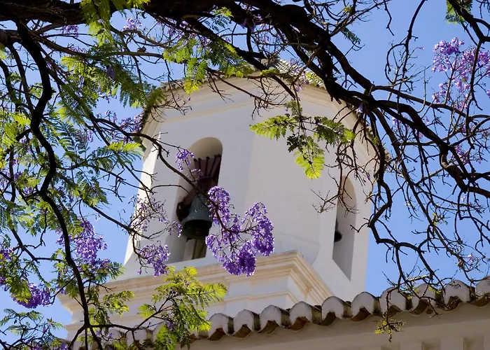 Plaza Cavana نيرخا